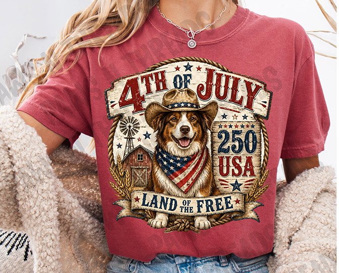 4th of July Australian Shepherd 250